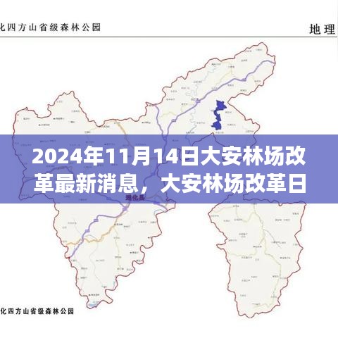 大安林場(chǎng)改革故事會(huì)，最新消息與溫馨改革之旅（2024年11月14日）