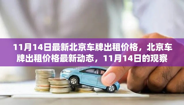 北京車(chē)牌出租價(jià)格最新動(dòng)態(tài)，11月14日的觀察與解讀