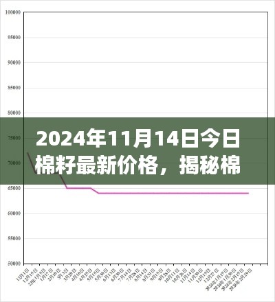 揭秘棉籽市場走勢，最新價格動態(tài)分析與預測（2024年11月14日）