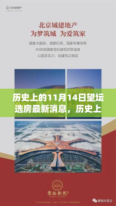 歷史上的11月14日，望壇選房新篇章開啟，變化成就奇跡之旅的最新消息