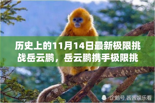 岳云鵬揭秘科技新紀元，極限挑戰(zhàn)攜手超燃高科技產品震撼登場（11月14日）