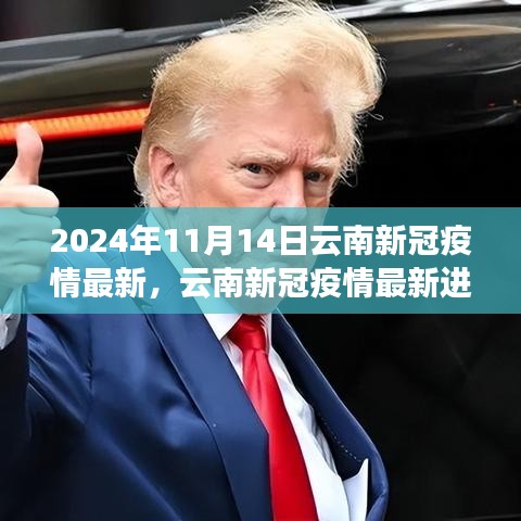 2024年11月14日云南新冠疫情最新進展與回顧展望