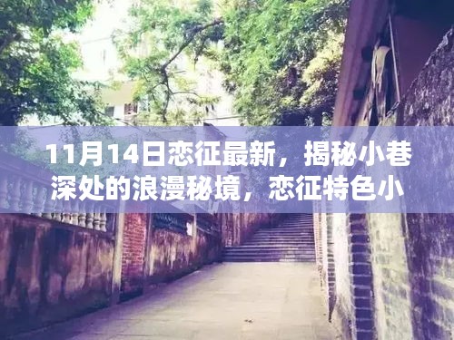 揭秘小巷深處的浪漫秘境，戀征特色小店的最新篇章（11月14日更新）