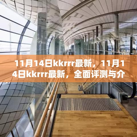 11月14日kkrrr最新資訊，全面評測與介紹