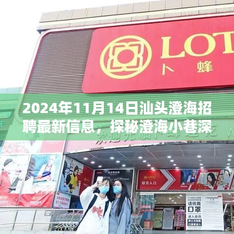 2024年汕頭澄海最新招聘信息揭秘，小巷深處的獨(dú)特小店招聘動(dòng)態(tài)