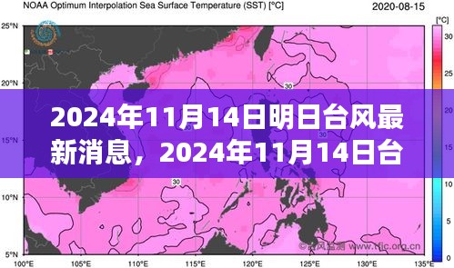 臺(tái)風(fēng)最新消息深度評(píng)測(cè)，特性、體驗(yàn)、競(jìng)品對(duì)比與用戶分析（2024年臺(tái)風(fēng)動(dòng)態(tài)）