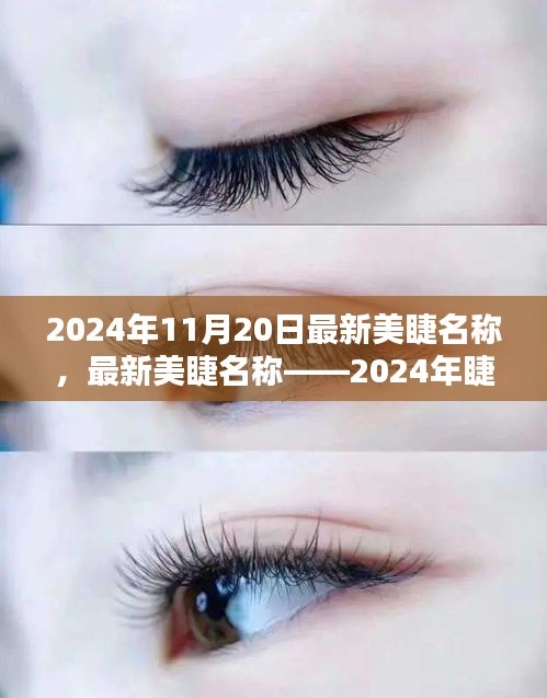 最新美睫名稱揭秘，2024年睫毛美學的革命性變革