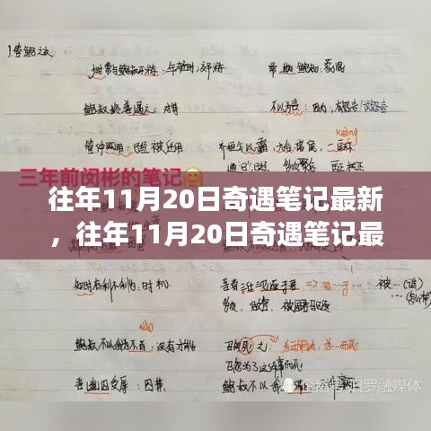 揭秘往年11月20日奇遇筆記，意想不到的旅程揭秘最新動態(tài)