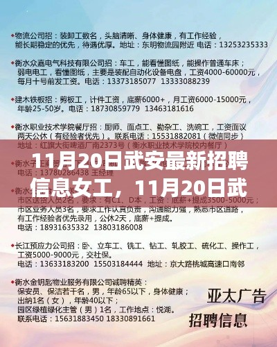 11月20日武安最新女工招聘信息，機(jī)遇與挑戰(zhàn)并存