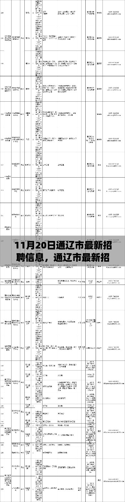 通遼市最新招聘信息概覽，職場人的福音（11月20日更新）