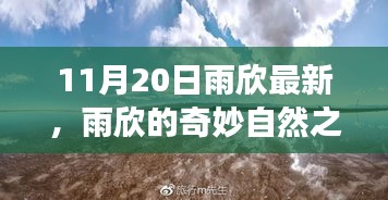 雨欣的11月20日奇妙探險，自然之旅尋找心靈寧靜與笑聲