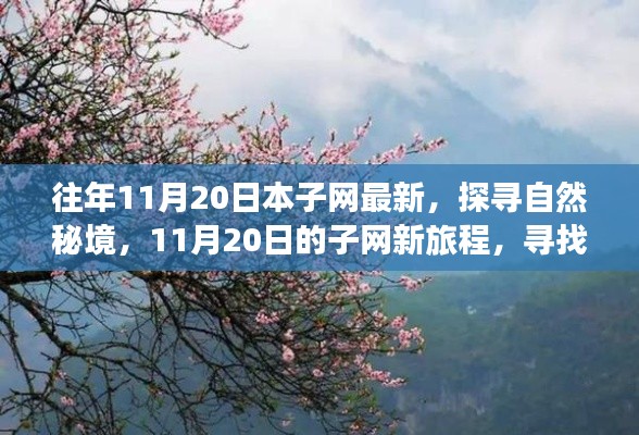 往年11月20日本子網(wǎng)最新，探尋自然秘境，11月20日的子網(wǎng)新旅程，尋找內(nèi)心的桃花源