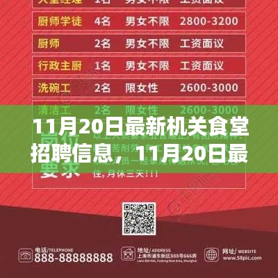 最新機關食堂招聘信息詳解，11月20日發(fā)布的全解析報告