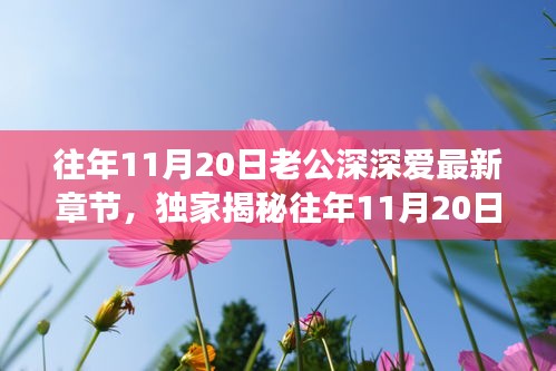 往年11月20日老公深情與高科技融合，全新智能伴侶揭秘，顛覆想象！