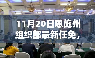 恩施州組織部最新任免動態(tài)解析及用戶群體分析，特性、體驗與競品對比報告