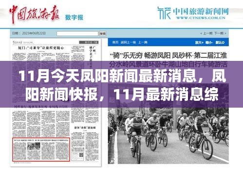 鳳陽新聞快報，11月最新消息綜述