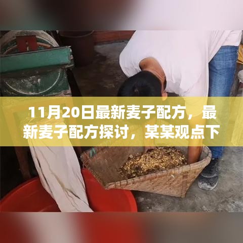 最新麥子配方探討，某某觀點下的分析與個人立場分享（11月20日更新）