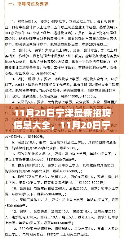 11月20日寧津最新招聘信息匯總，全面解讀招聘平臺(tái)特性與體驗(yàn)