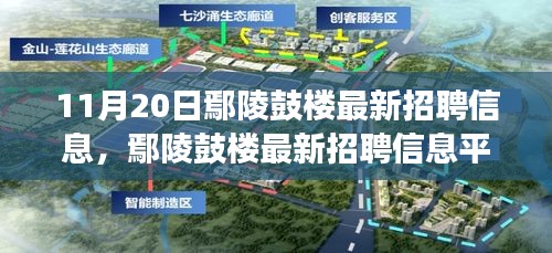 11月20日鄢陵鼓樓最新招聘信息及平臺(tái)深度評(píng)測，特性、體驗(yàn)與用戶洞察