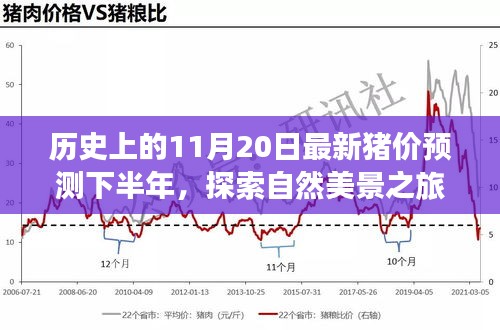 歷史上的11月20日豬價預測與心靈寧靜尋覓之旅，自然美景探索