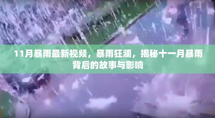 揭秘十一月暴雨背后的故事與影響，暴雨狂瀾最新視頻報道