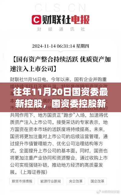 揭秘，國資委控股新紀(jì)元背后的重磅事件與影響，歷年11月20日的回顧與展望