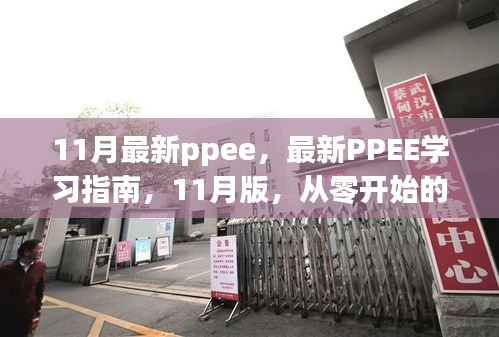 最新PPEE學(xué)習(xí)指南，從零開始的詳細(xì)步驟教程（11月版）