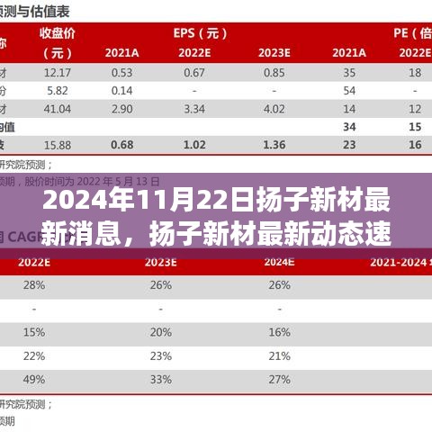 2024年11月22日揚子新材最新消息，揚子新材最新動態(tài)速遞，2024年11月22日的三大看點