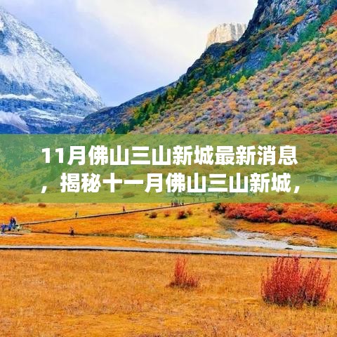 揭秘佛山三山新城十一月最新動(dòng)態(tài)，自然之旅的心靈凈土探索