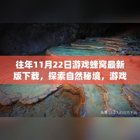 游戲蜂窩帶你探索自然秘境，最新下載，心靈平靜之旅