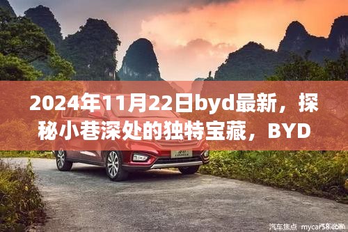 探秘小巷深處的獨(dú)特寶藏，BYD最新隱藏版特色小店揭秘（2024年11月22日）