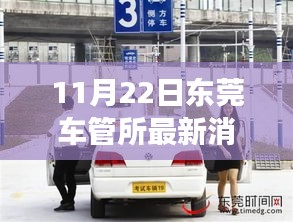 東莞車管所溫馨日常，趣事與陪伴的特別記錄（11月22日最新消息）