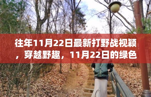 往年11月22日最新打野戰(zhàn)視穎，穿越野趣，11月22日的綠色冒險之旅，尋找內(nèi)心的寧靜與平和