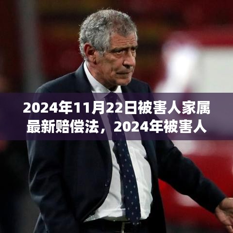 深度解讀2024年被害人家屬賠償法，背景、進(jìn)展與影響