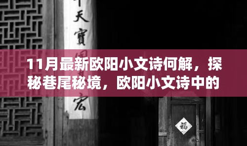 歐陽小文詩探秘巷尾秘境，揭秘新解與隱藏佳肴