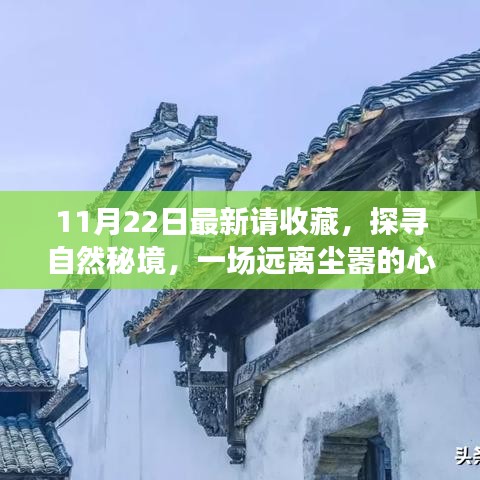 11月22日探尋自然秘境之旅，心靈啟程，珍藏美好瞬間