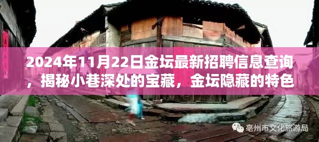 揭秘金壇隱藏特色小店與最新招聘信息奇遇記，2024年11月22日金壇招聘信息深度查詢