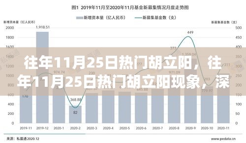 深度解析與觀點(diǎn)闡述，胡立陽現(xiàn)象——?dú)v年11月25日的熱門焦點(diǎn)