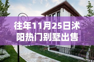 沭陽智能別墅，科技重塑居住品質(zhì)，未來居住新體驗熱賣中