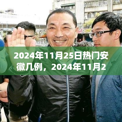 2024年11月25日安徽疫情最新熱點(diǎn)解讀，病例數(shù)量及防控措施