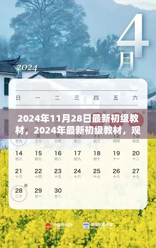 觀點闡述與深度分析，最新初級教材深度解讀（2024年最新版）