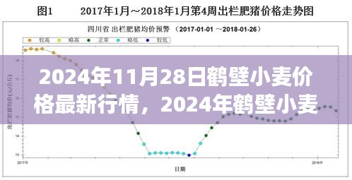 2024年鶴壁小麥價(jià)格最新行情及市場(chǎng)走勢(shì)分析，影響因素探討