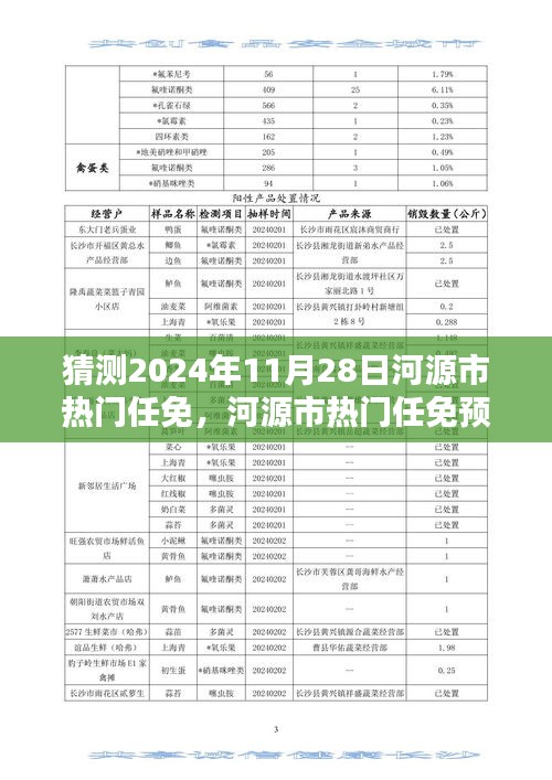 河源市熱門任免預(yù)測(cè)報(bào)告，揭秘2024年11月28日的人才動(dòng)向深度分析