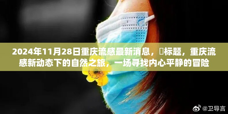 重慶流感新動態(tài)下的探索之旅，內心平靜的冒險（2024年11月28日最新消息）