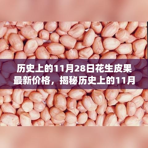 全方位解析，歷史上的11月28日花生皮果最新價(jià)格獲取與解讀步驟指南