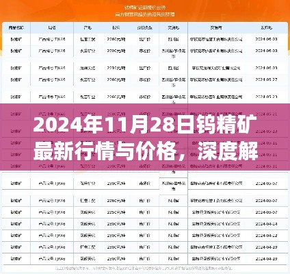 深度解析，2024年11月28日鎢精礦最新行情與價(jià)格展望