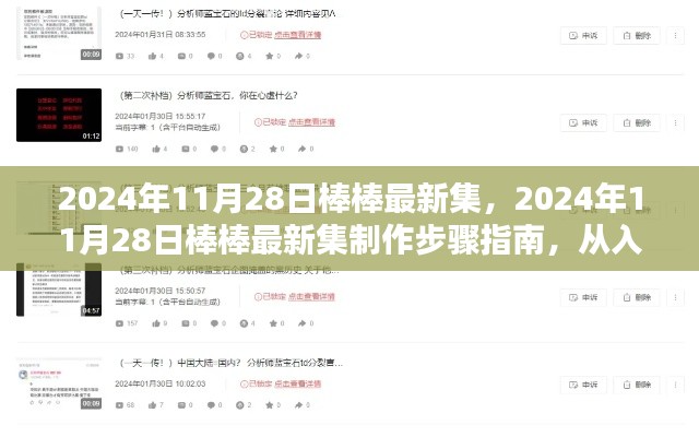 2024年11月28日棒棒最新集制作指南，從入門到精通