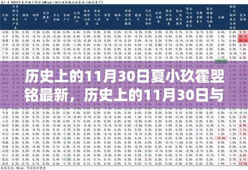 歷史上的11月30日與夏小玖霍翌銘，深度解讀與最新觀點闡述