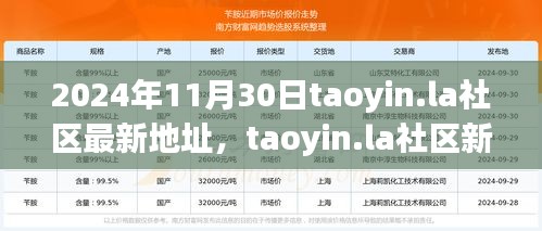 2024年11月30日taoyin.la社區(qū)新址展望，機遇與挑戰(zhàn)并存