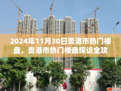 貴港市熱門樓盤探訪全攻略，購房指南（2024年11月30日）